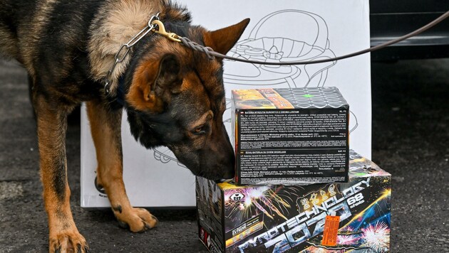 Auch ein Sprengstoffspürhund stand im Einsatz (Bild: Dostal Harald)