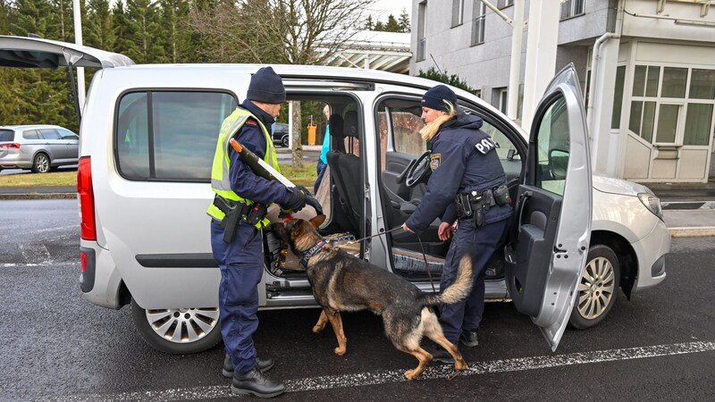 Mein Partner mit der guten Nase! Spürhunde sind bei der Polizeiarbeit unverzichtbar.  (Bild: © Harald Dostal / 2023)