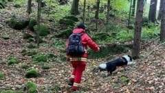 Auch die Rettungshundebrigade (Symbolbild) stand im Einsatz. (Bild: ÖRHB)