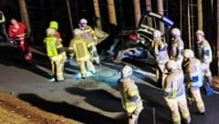 Die Feuerwehr Satteins sicherte das Unfallfahrzeug. (Bild: Feuerwehr Satteins)