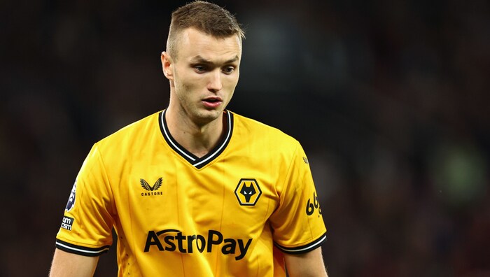 Sasa Kalajdzic im Trikot der Wolves