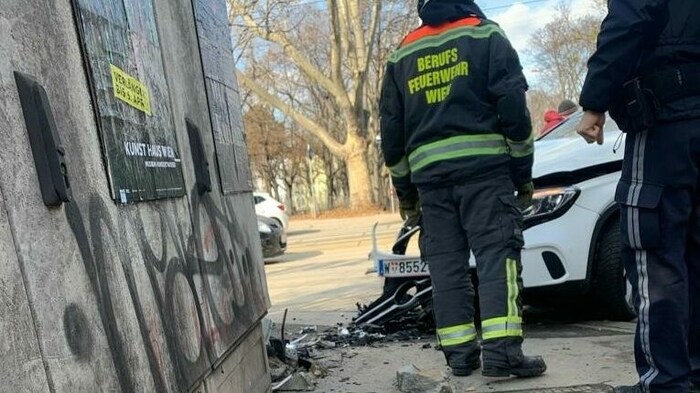 Die Wiener Berufsfeuerwehr barg das havarierte Gefährt.
