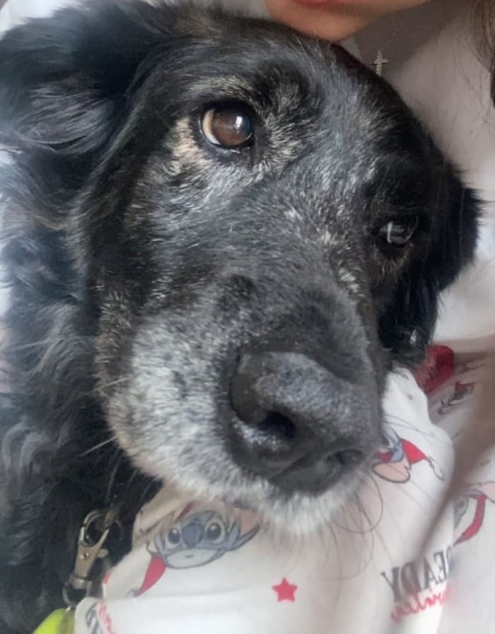 Luna ist zum Glück wieder zu Hause.