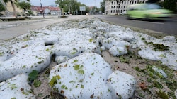 Richtung Weihnachten ließ das milde Wetter den Schnee in den tiefen Lagen Österreichs fast verschwinden. (Bild: APA/dpa/Thomas Warnack)