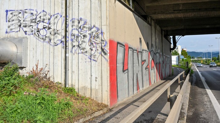 Graffiti-Sprayer widmeten im Vorjahr ihre Kunstwerke entlang der Stadtautobahn wieder verstärkt Fußballklubs.