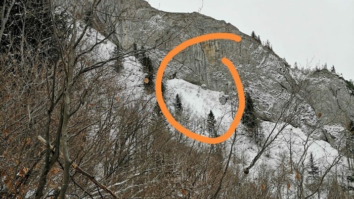 Über diese steile Felswand stürzte der Border Collie in die Tiefe.