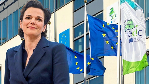 Die ehemalige Politikerin Pamela Rendi-Wagner ist jetzt Direktorin der EU-Gesundheitsbehörde ECDC. (Bild: zVg, SEPA.Medien/Martin Juen, Krone KREATIV)