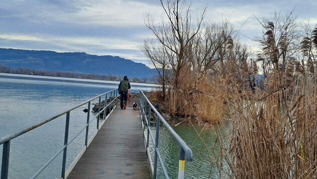 Der Bodensee: Nicht nur im Sommer lassen sich hier reizvolle Plätze finden. (Bild: Bergauer)