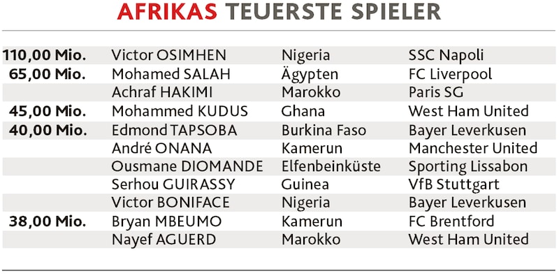 Afrikas teuerste Spieler (Bild: Kronen Zeitung)