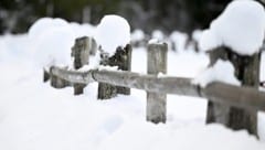 In der kommenden Woche wird es Schnee auch in tieferen Lagen geben. (Bild: APA/BARBARA GINDL)