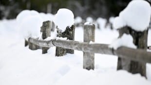 In der kommenden Woche wird es Schnee auch in tieferen Lagen geben. (Bild: APA/BARBARA GINDL)