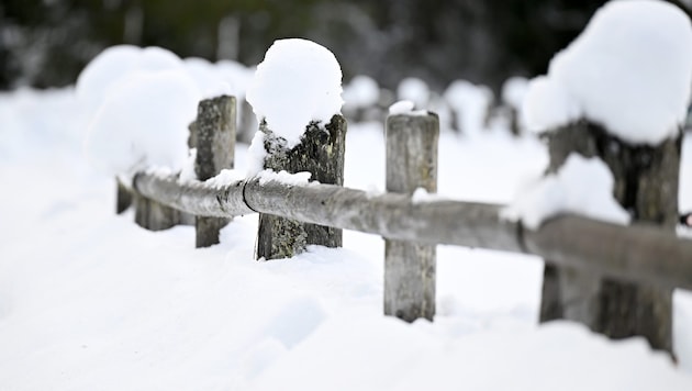 In the coming week, there will also be snow at lower altitudes. (Bild: APA/BARBARA GINDL)