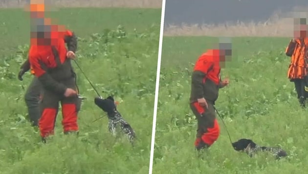 Bei einer Treibjagd im burgenländischen Gattendorf dokumentierten Aktivisten, wie ein Hund von einem Treiber mehrfach geschlagen wurde. (Bild: VGT.at / VEREIN GEGEN TIERFABRIKEN)