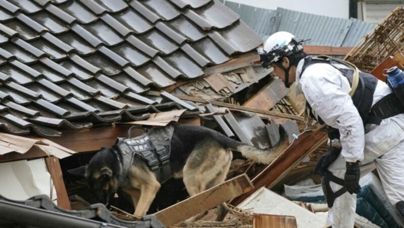 Speziell ausgebildete Rettungshunde unterstützen die Menschen bei der Suche nach Verschütteten. (Bild: AP)