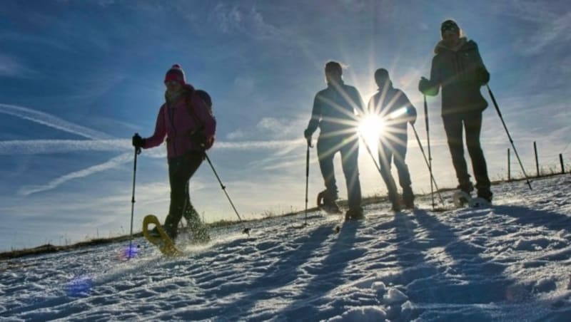 Die Wanderung kann mit oder ohne Schneeschuhe unternommen werden (Bild: Weges)