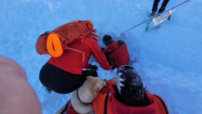 Vier Lawinensuchhunde bewiesen ihre lebensrettenden Spürnasen. (Bild: Bergrettung Defereggental)