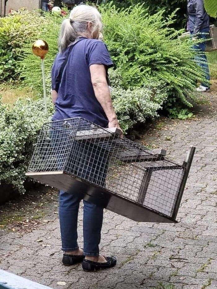 So sieht eine Lebendfalle aus (Symbolbild).