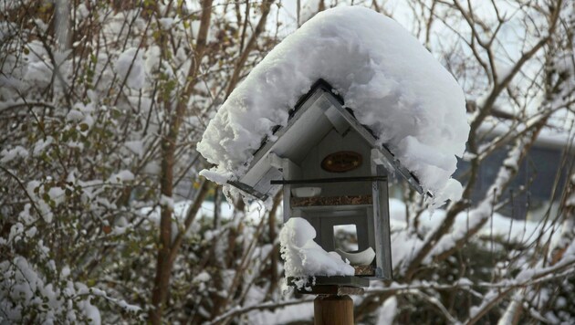 Bis zu 15 Zentimeter Neuschnee könnten auch im Flachgau fallen