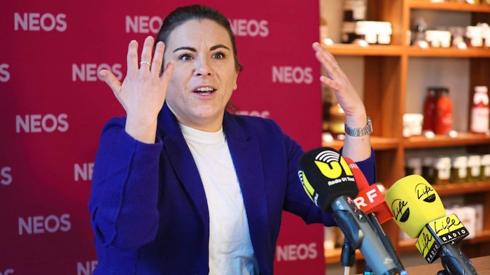 Julia Seidl legt ihr Mandat im Nationalrat zurück.