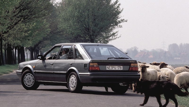 Nissan Bluebird (Bild: Nissan)