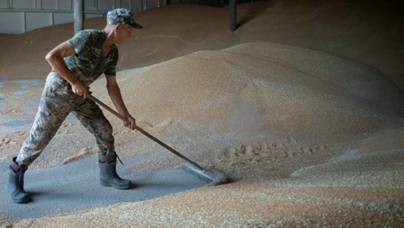 Billiges Getreide und andere Agrarprodukte aus der Ukraine führten in mehreren EU-Staaten zu Absatzeinbußen bei den heimischen Bauern. Daher versucht man die Importe vom Markt zu verdrängen.  (Bild: AP)