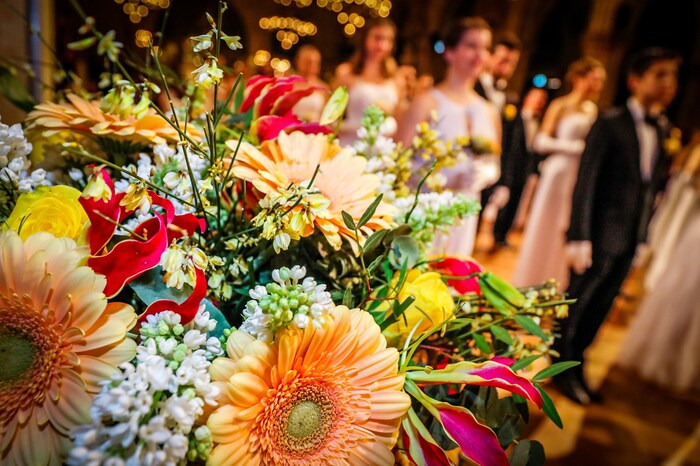 100.000 Blüten im Rathaus