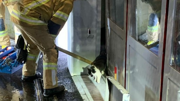 Mit einem Pickel zwängten die Florianijünger die Schibetüre auf. (Bild: zoom.tirol)