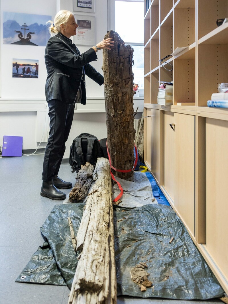 Die Wissenschaftlerin des Jahres 2023 präsentiert einen rund 8000 Jahre alten, im Gletscher gefundenen Baumstamm. (Bild: APA/EXPA/JOHANN GRODER)