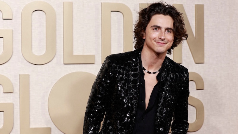 Timothée Chalamet (Bild: APA/AFP/Michael TRAN)