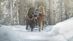 Im Pferdeschlitten durch die Winterlandschaft bis zum Talschluss in Saalbach Hinterglemm! Die Region ist herrlich, der renommierte Reiseverlag „Lonley Planet“ hat Saalfelden Leogang sogar unter die Top 10 der besten Urlaubsdestinationen der Welt gewählt. (Bild: MirjaGeh.com)