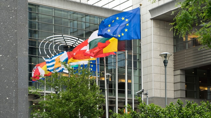 On June 9, Austria will elect a total of 20 MEPs to represent the country's interests in the EU.