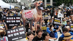 In Südkorea vollzieht sich eine Tierschutzrevolution. Denn wird es dort ab 2027 endlich verboten, Hundefleisch zu essen. (Bild: AP)
