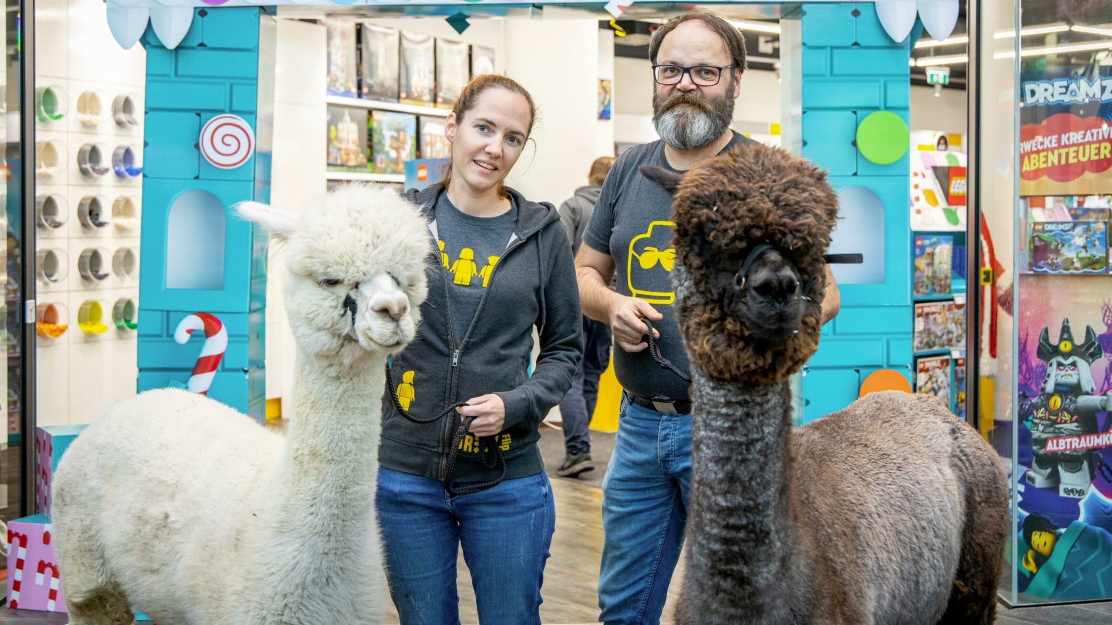 Jetzt teilnehmen Mit der Krone zur gro en Alpaka Expo krone.at