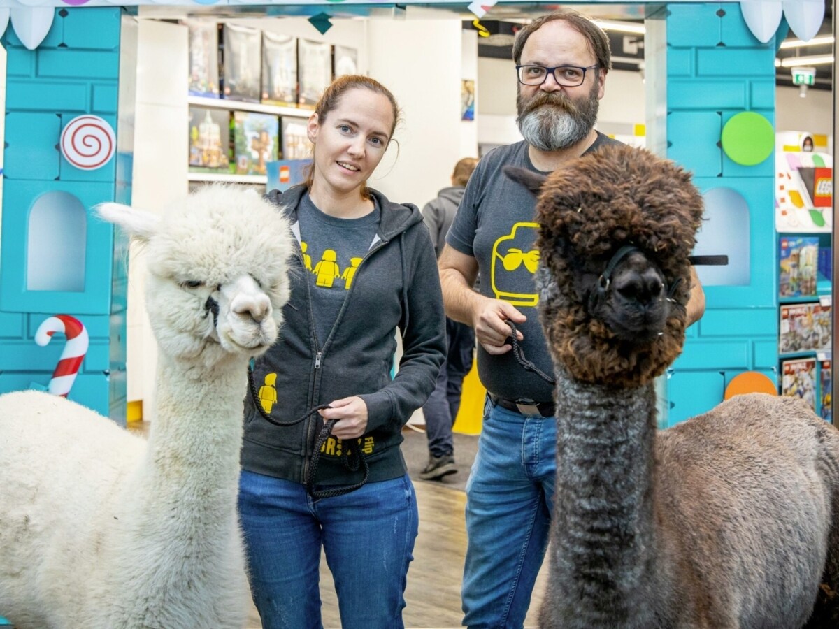 Jetzt teilnehmen Mit der Krone zur gro en Alpaka Expo krone.at