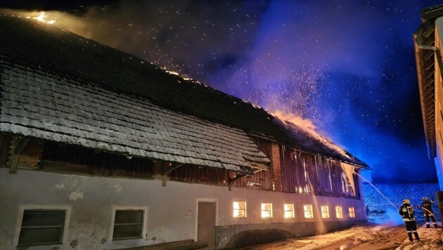 (Bild: Bezirksfeuerwehrkommando Amstetten / Steinbach)