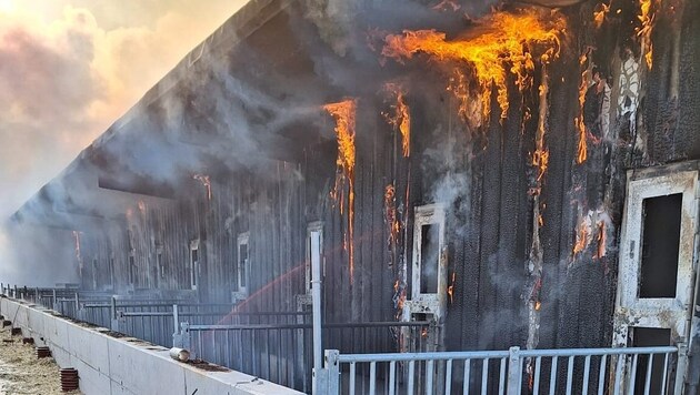 In dem Bio-Stall aus Holz konnte sich das Feuer rasch ausbreiten.  (Bild: FF Neuruppersdorf)