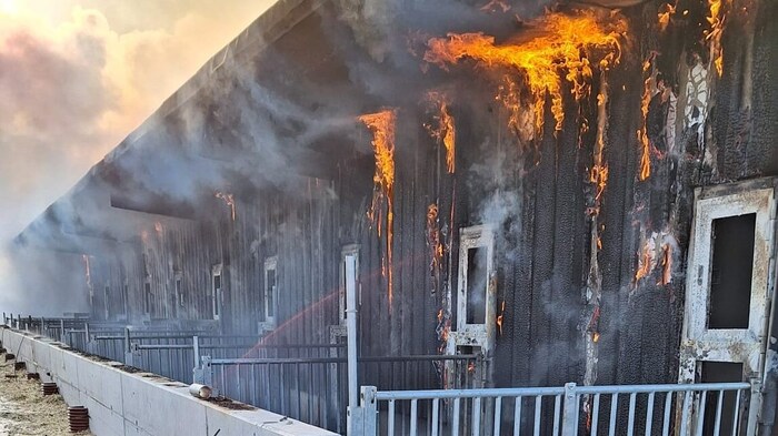 Die Holzkonstruktion geriet schnell in Vollbrand.