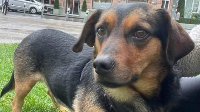 Entzückendes kleines Männchen.