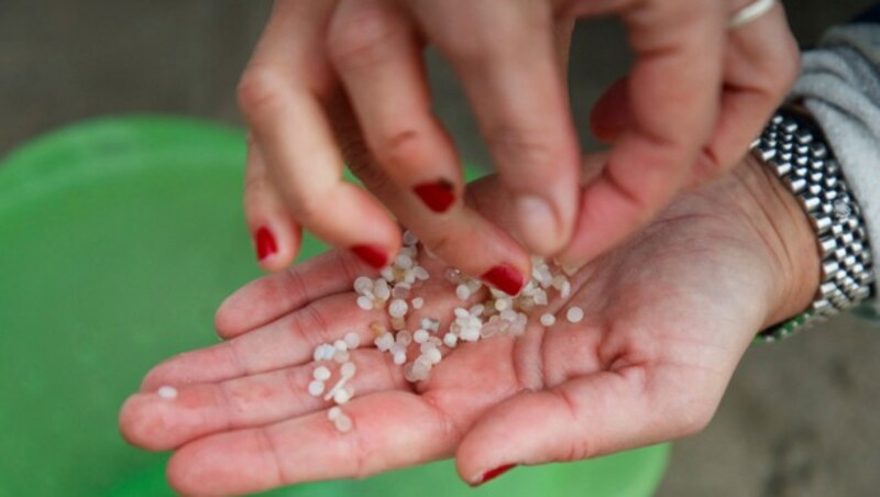 Die Plastikkügelchen haben nur einen Durchmesser von wenigen Millimetern. (Bild: Associated Press)