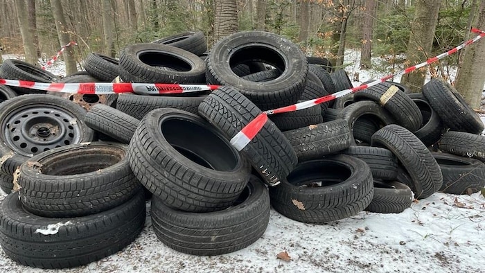 Hunderte Reifen wurden im Wienerwald einfach abgelegt.