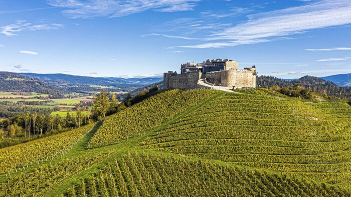 Burg Taggenbrunn: Im 14. Jahrhundert wurde von hier aus Kärnten regiert. Seit 2011 saniert und bespielt die Unternehmerfamilie Riedl die Burg.