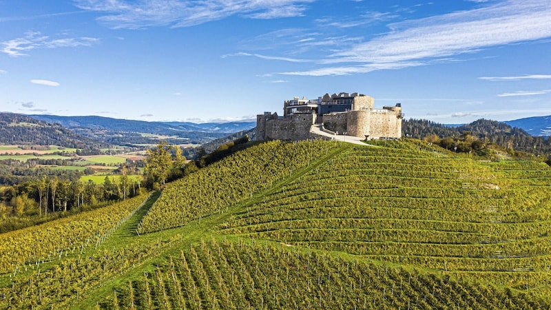 Burg Taggenbrunn: Im 14. Jahrhundert wurde von hier aus Kärnten regiert. Seit 2011 saniert und bespielt die Unternehmerfamilie Riedl die Burg. (Bild: ©FRANZGERDL 2020, all Rights reserved)
