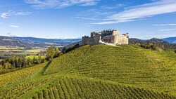 Taggenbrunn ist mi 40 Hektar Anbaufläche das größte Weingut in Kärnten. (Bild: ©FRANZGERDL 2020, all Rights reserved)