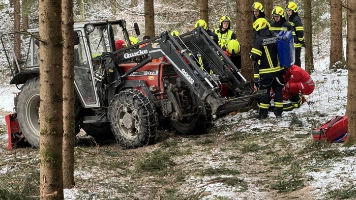 Der Unfall war bei Baumfällarbeiten in einem Wald passiert