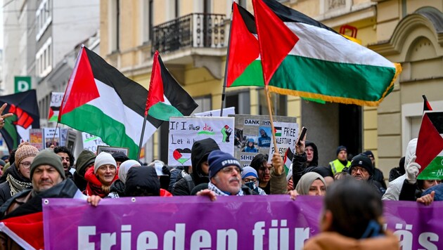 Der Protestzug umfasste laut der Polizei rund 230 Personen. (Bild: Dostal Harald)