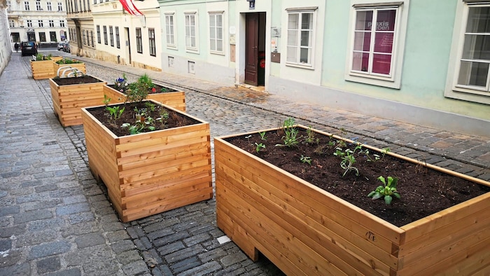 Blumentröge statt Parkplätze heißt es in Neubau.