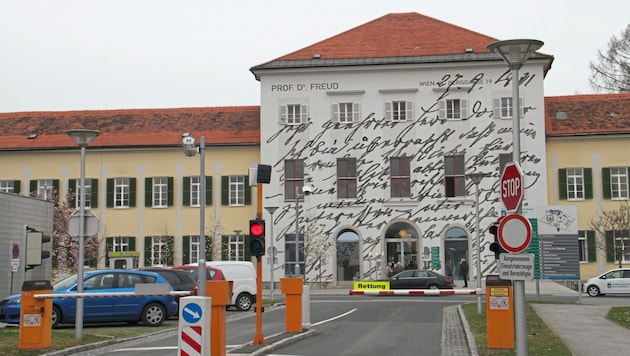 The attack took place in the forensic ward of Graz II Hospital. (Bild: Kronenzeitung)