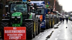 Die europäischen Bauern und ihre Proteste in den vergangenen Jahren sind erhört worden.