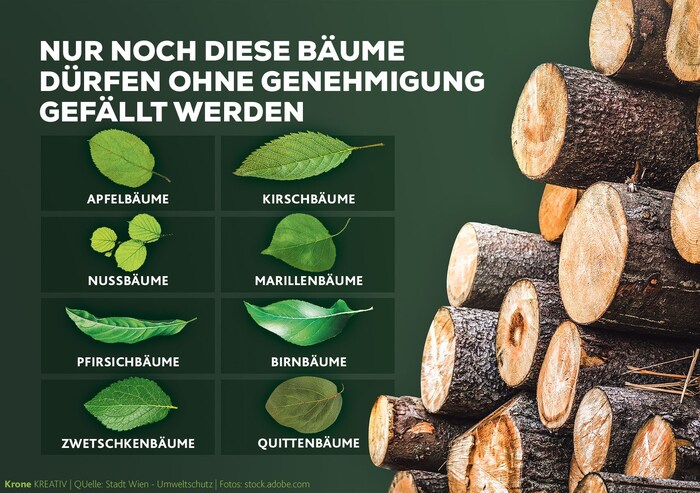 Nun wird klargestellt, dass etwa für Apfel-, Kirsch-, Nuss-, Marillen-, Pfirsich-, Birn-, ...