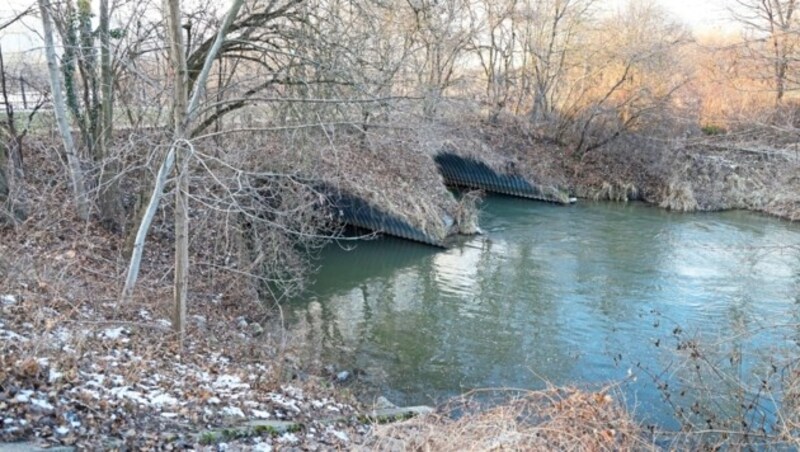 „Unterhalb der Rohre“ fand ein Angler ein Leichenteil. (Bild: klemens groh)